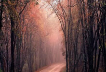 德赢VWIN：[乒乓球]健康早间操：刘国正带来灵敏性及爆发力训练.