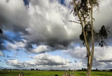 德赢VWIN官网:WTT公布强制性参赛规定修改等重大优化改革措施.