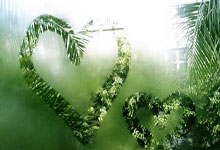 ❄️官宣:特雷-杨顶替受伤的字母哥入选全明星.