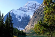 德赢VWIN官网:中超第5輪長春亞泰1-0上海申花 王鵬亂戰補射建功.